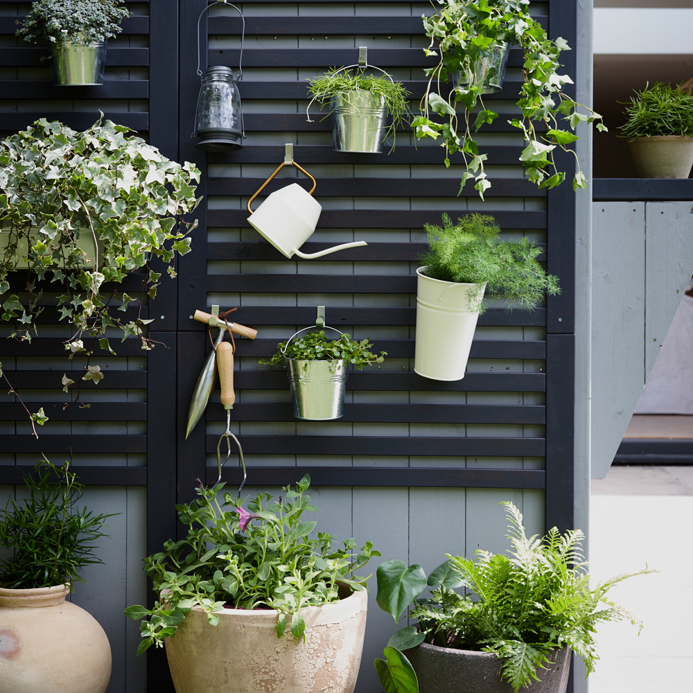 Wall Trellis with Plants and Accessories