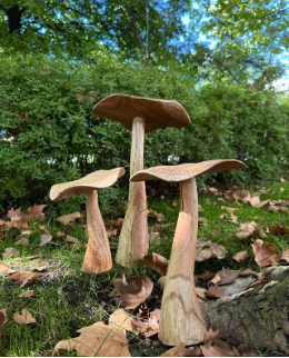 Wooden toadstools outside in the garden